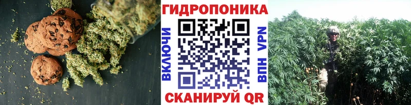 Cannafood конопля  Нефтекумск 