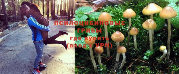 крисы Балабаново