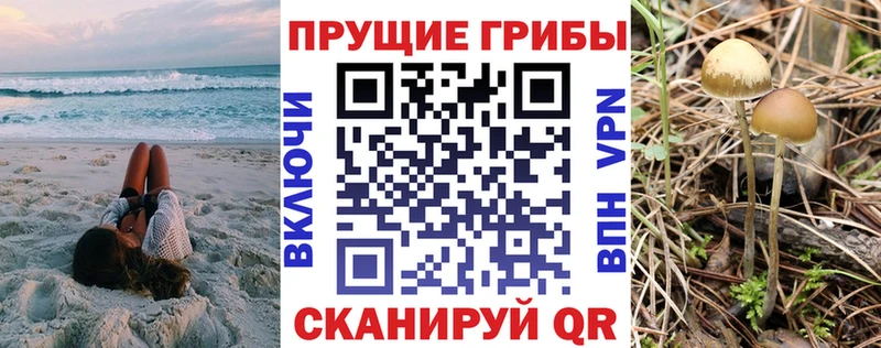 Псилоцибиновые грибы ЛСД  Нефтекумск 