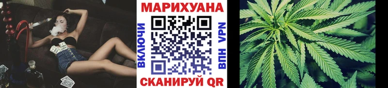 Конопля гибрид  Нефтекумск 